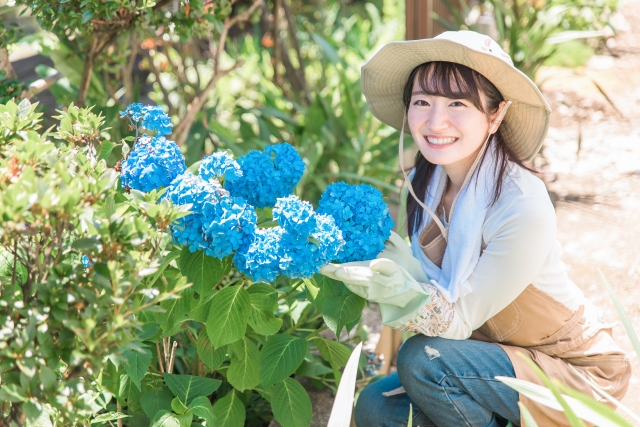 リフォームプランニングのアイデア集